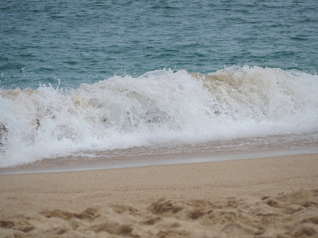 A blue sea tops the image followed by a white breaking wave on a golden sandy beach.