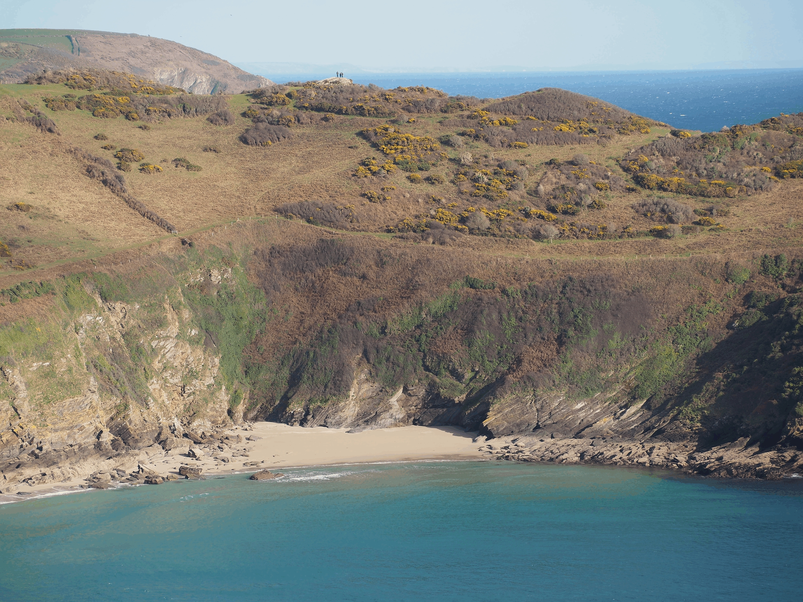 A pale sandy beach is nestled below green and rusty heather covered cliffs. Above, gorse in flower creeps up the hill.